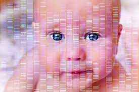 GENETICALLY MODIFIED HUMANS: The process of embryo selection through in vitro fertilization has been most popularly used to create designer babies with specific traits and gender. The process has been questioned ethically, but is still seen as positive since it can be used to help stop the spread of genetically transmitted fatal diseases in offspring.